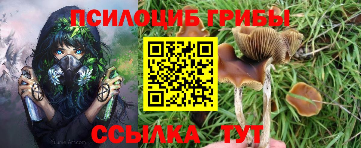 Псилоцибиновые грибы GOLDEN TEACHER Заводоуковск